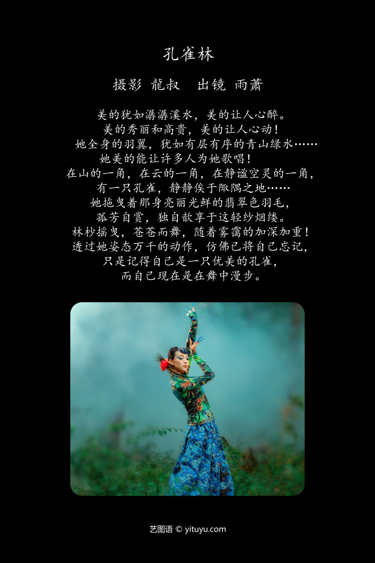 龍叔_雨萧《孔雀林》美图作品图片2