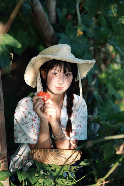 乡村文学