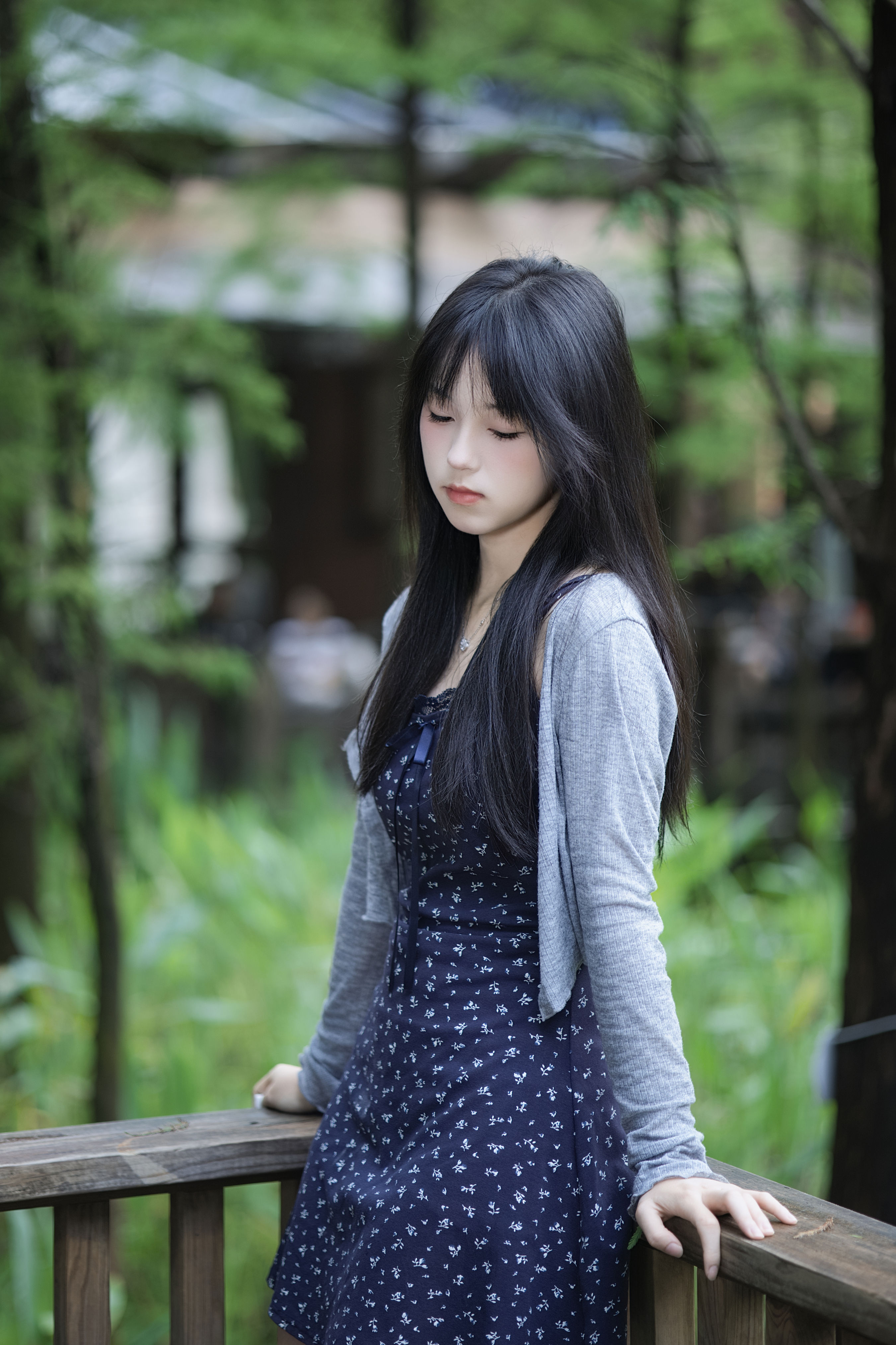 夏日·寒蝉