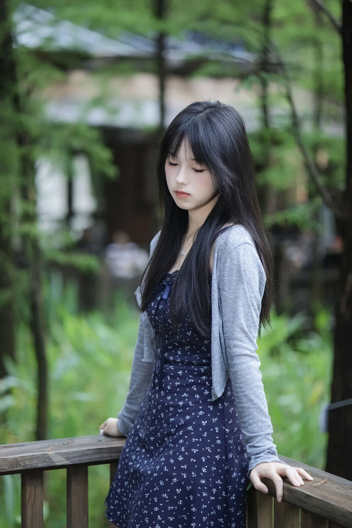 夏日·寒蝉
