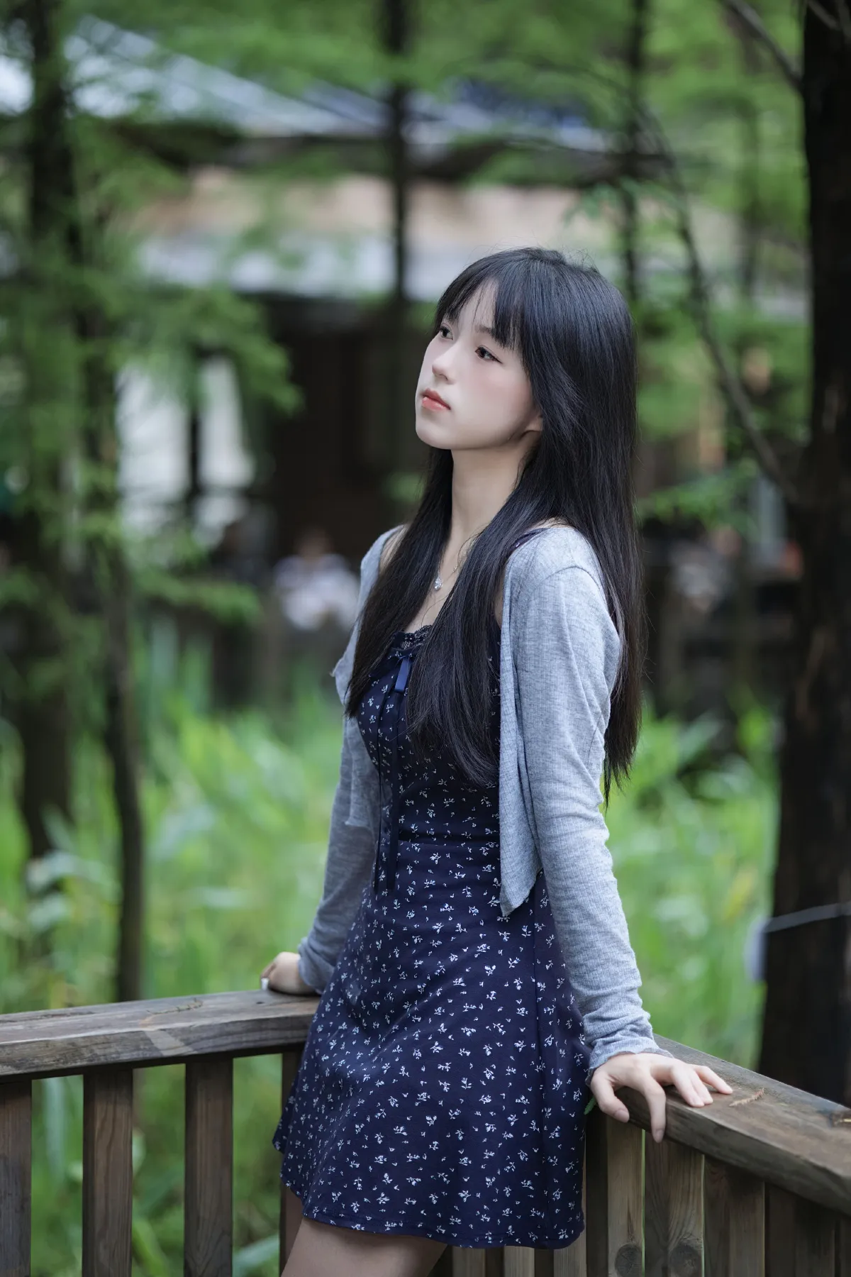 夏日·寒蝉