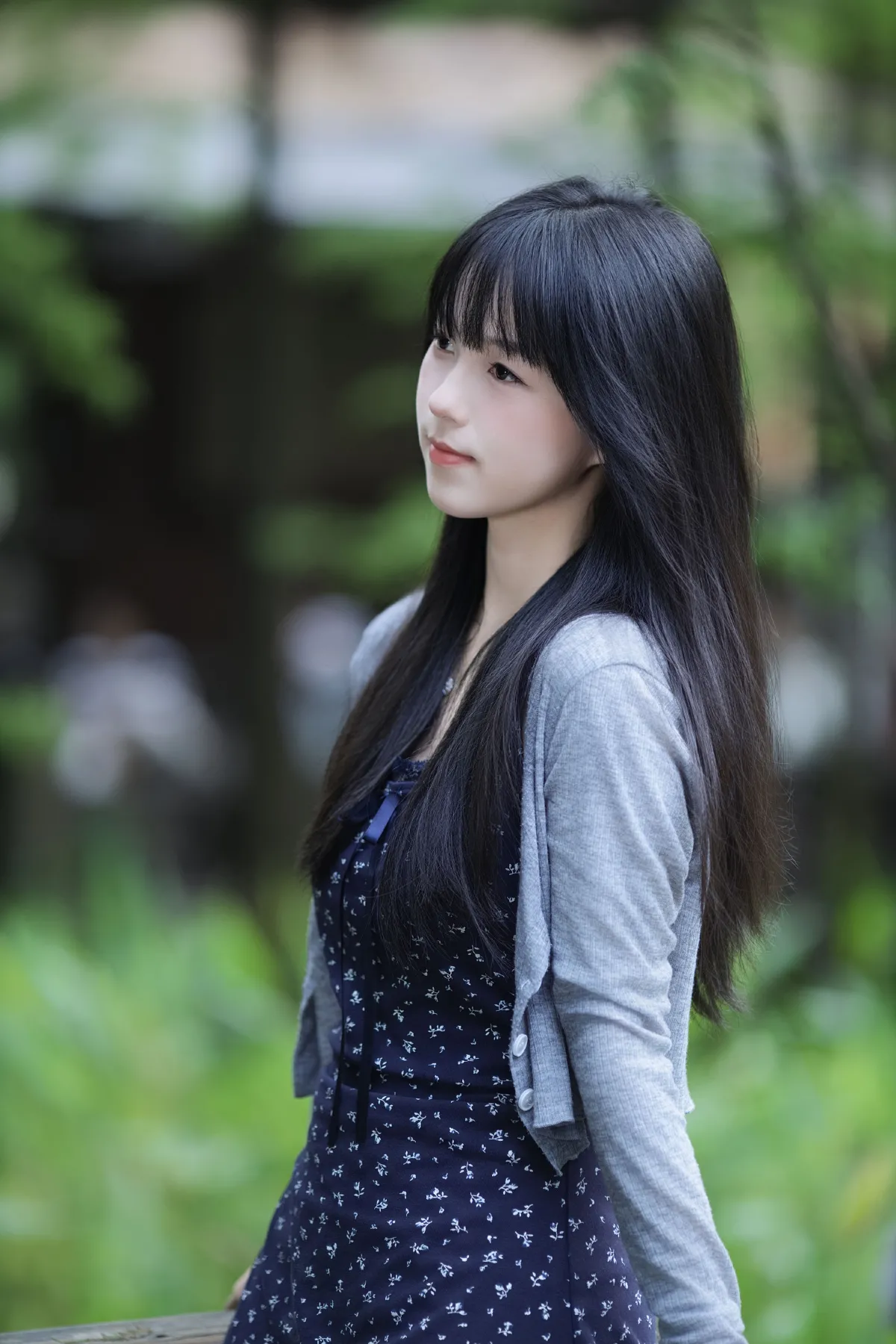 夏日·寒蝉
