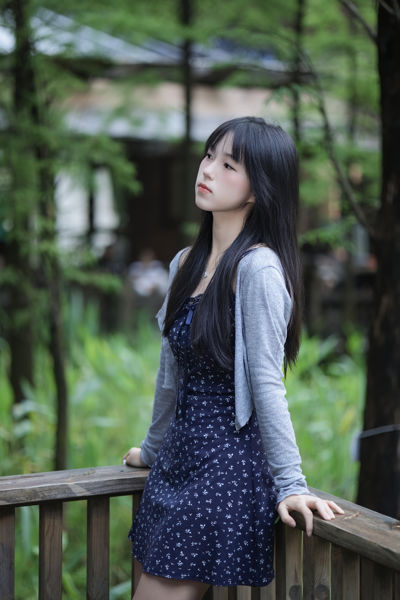 夏日·寒蝉