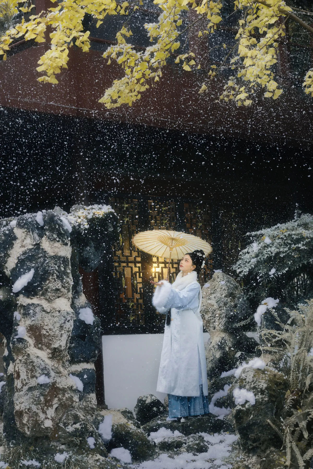 有冬要来，有雪入怀