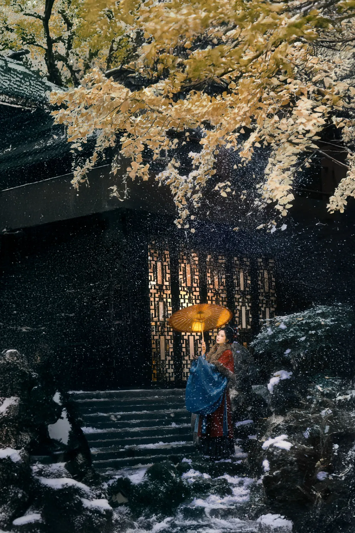 有冬要来，有雪入怀