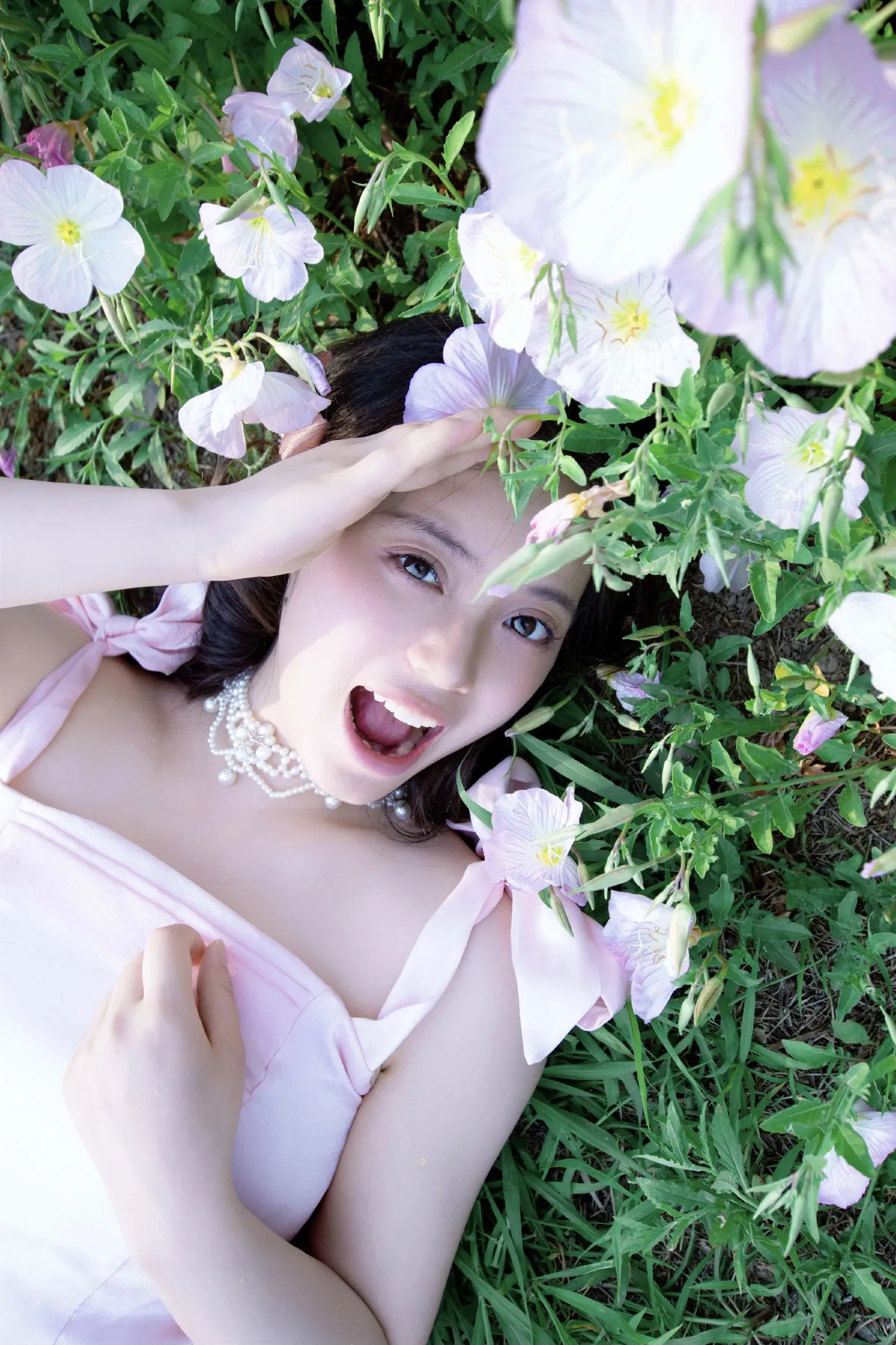 又梦见月见草花开