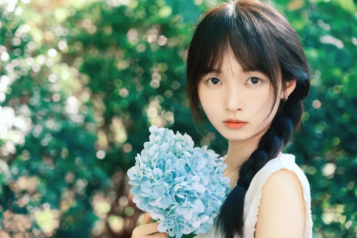 绣球
