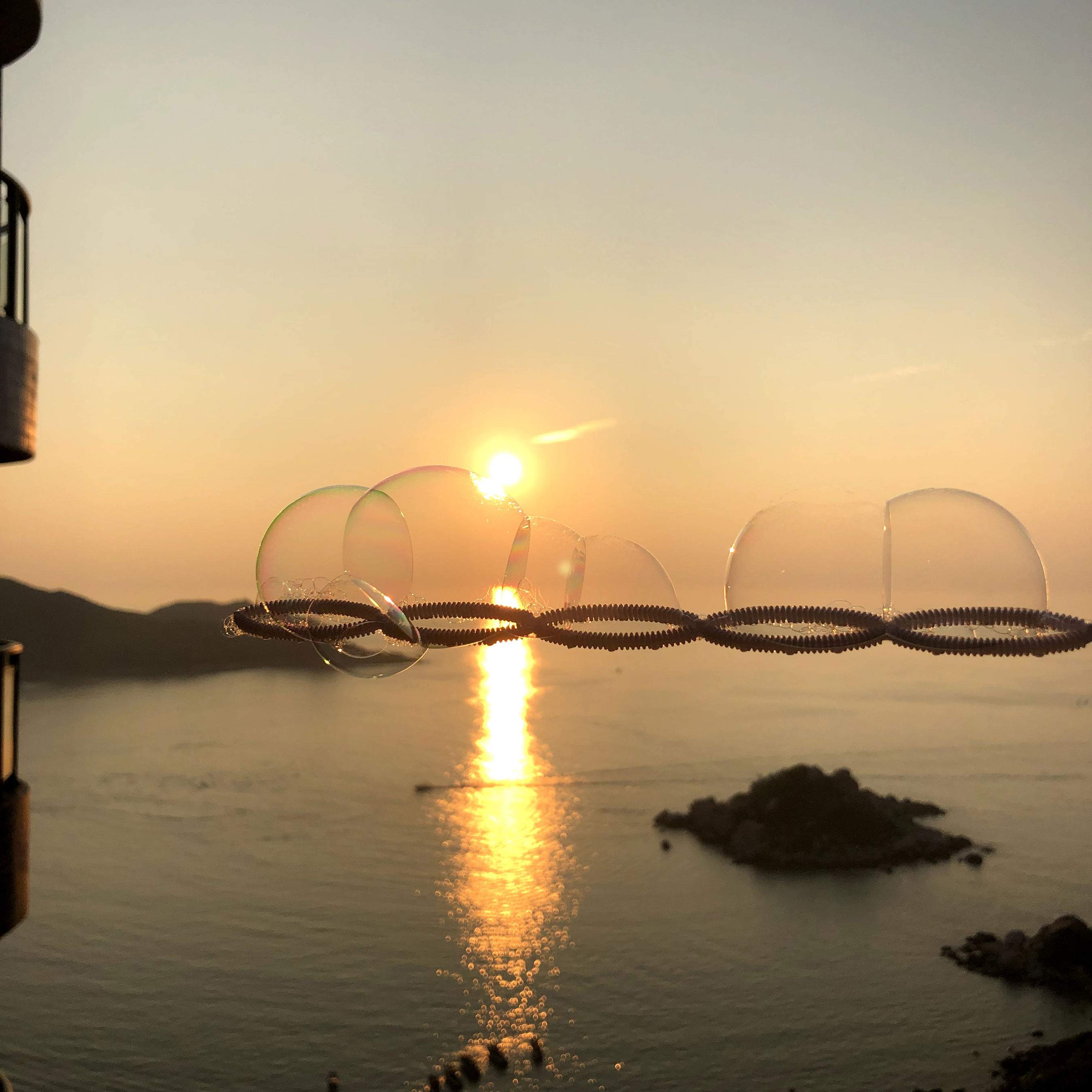 泡泡与朝阳