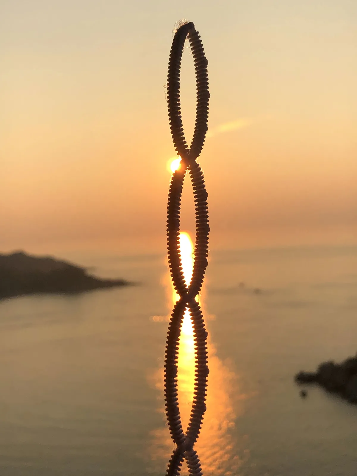 泡泡与朝阳