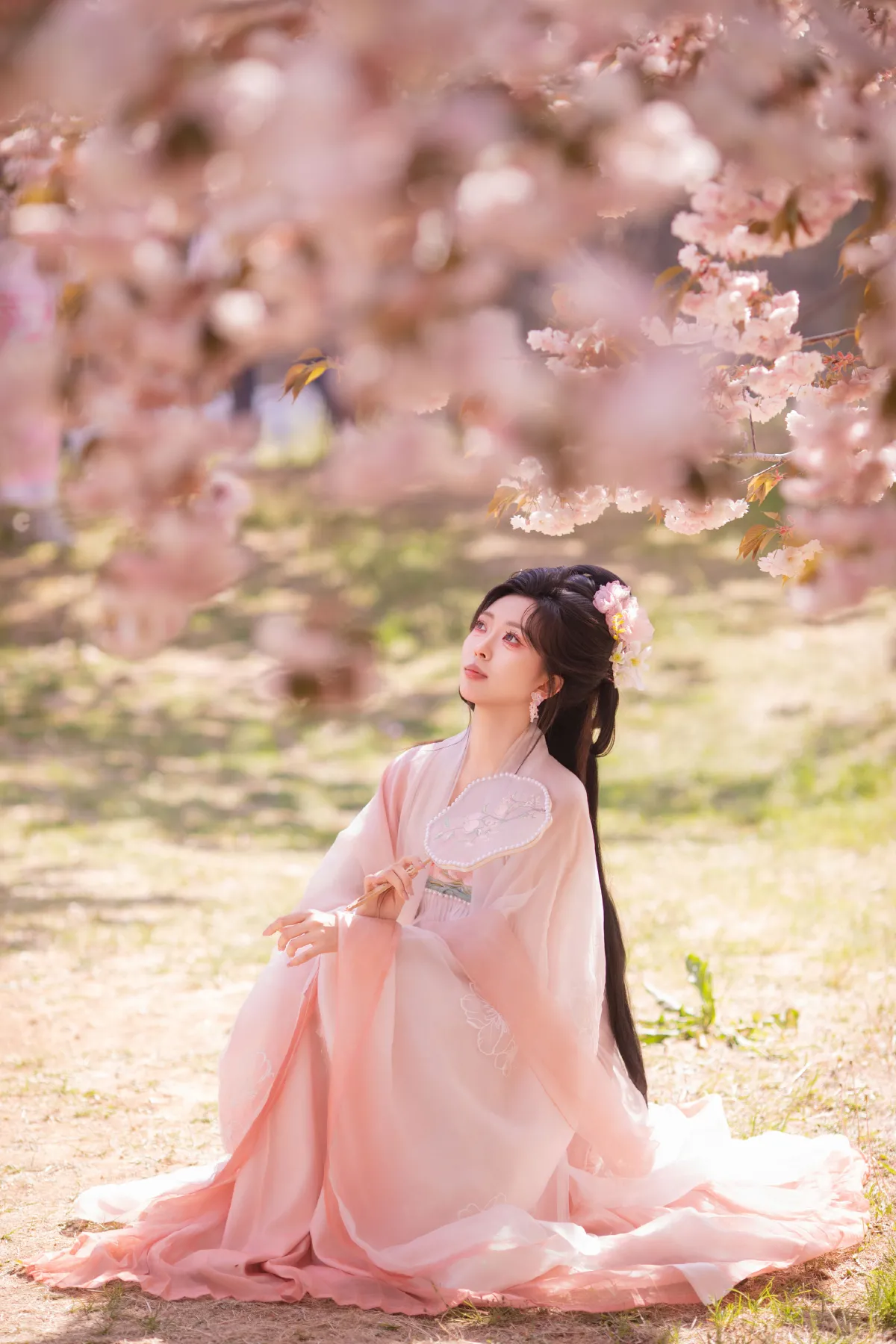 樱园赋·国风少女与花共眠