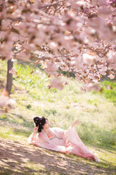 樱园赋·国风少女与花共眠
