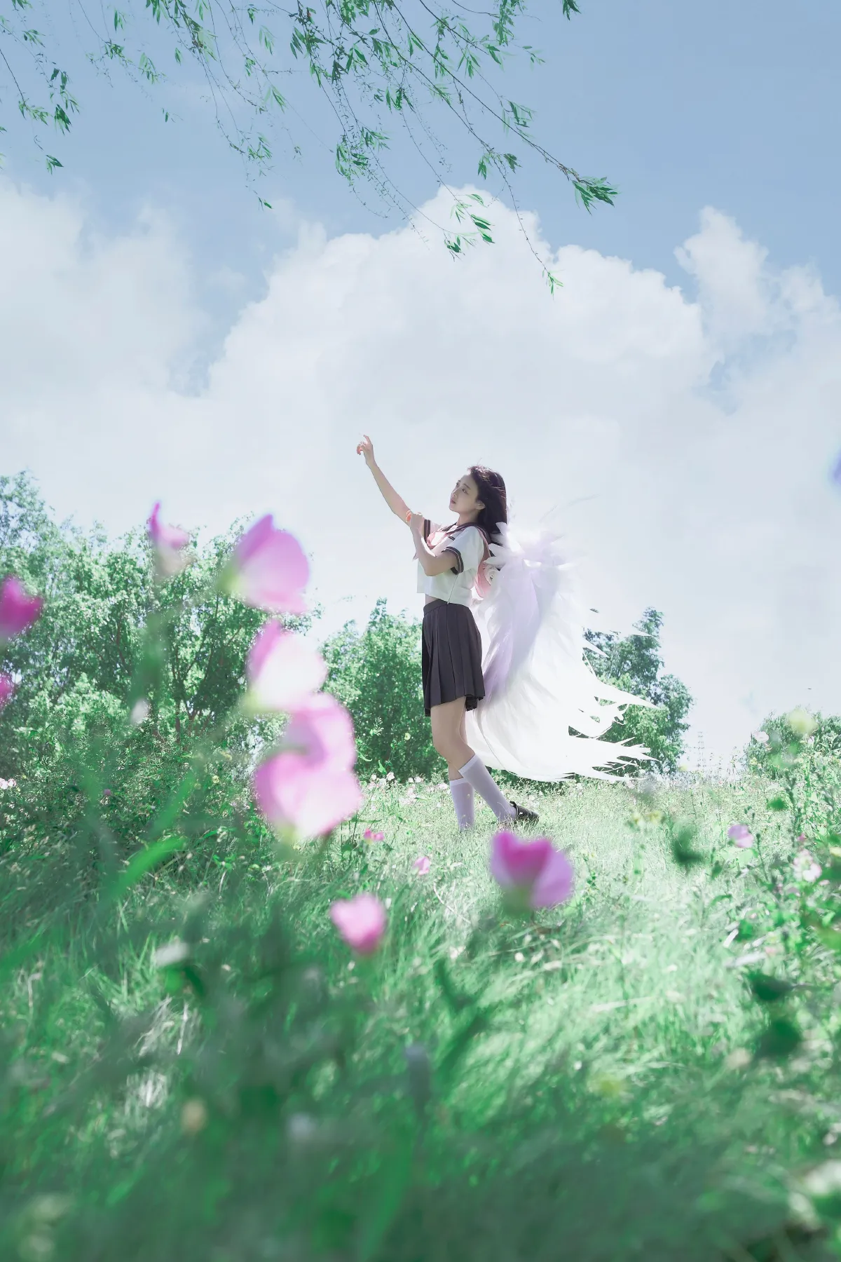 幻境月见草之梦