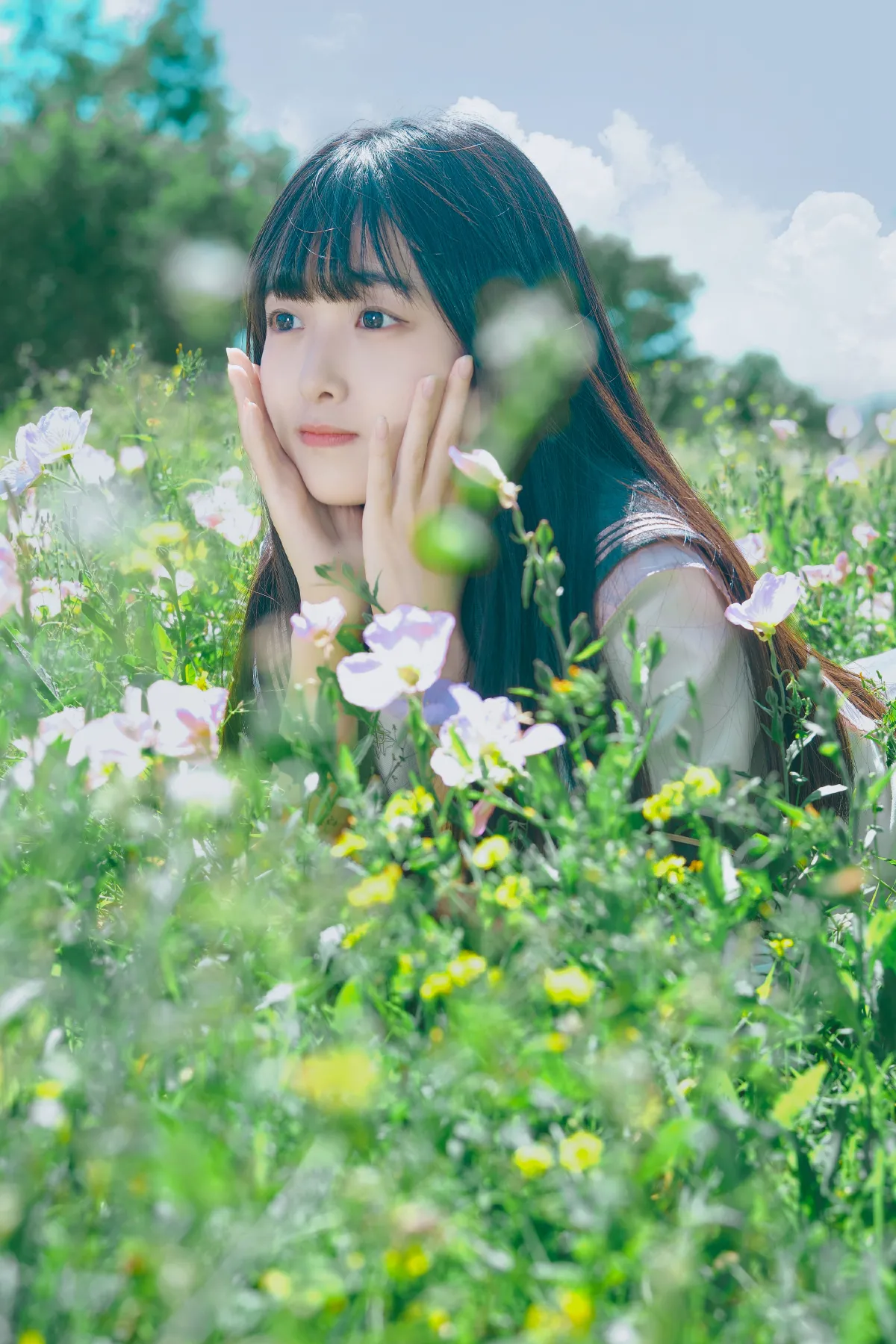 幻境月见草之梦