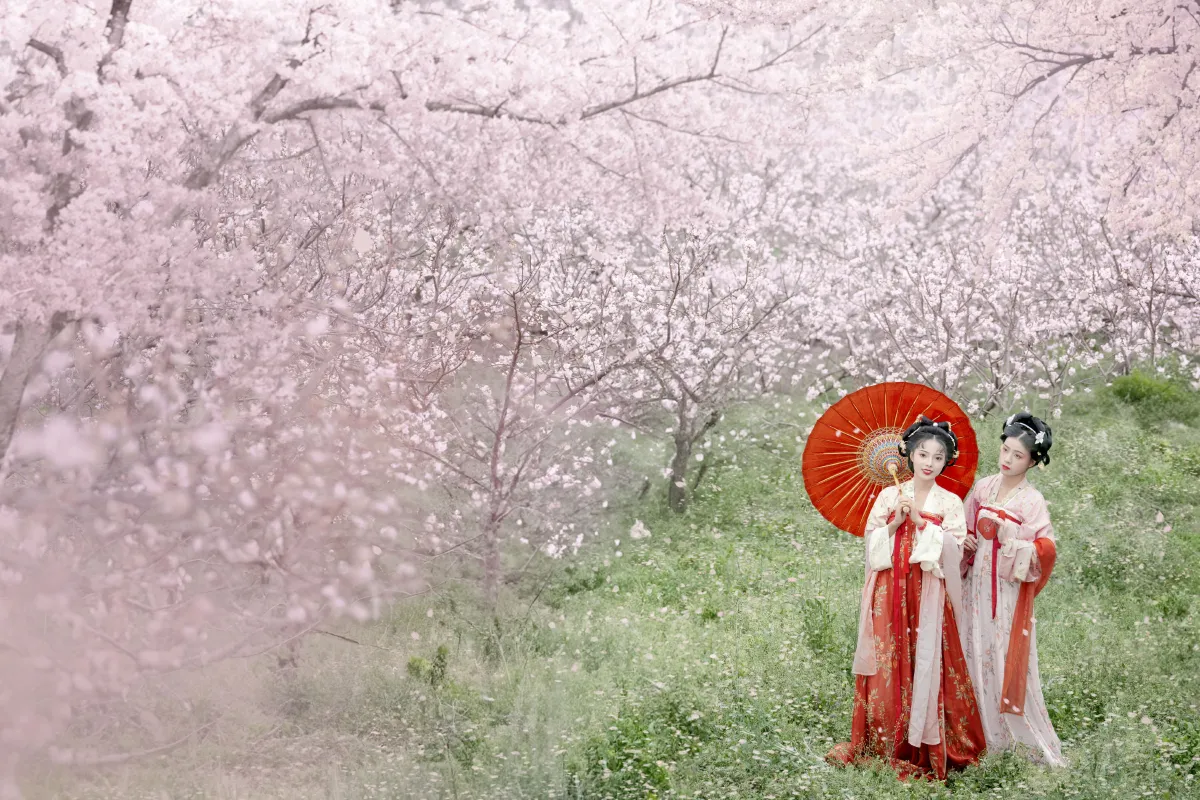 一朝春雨落·十里春花开