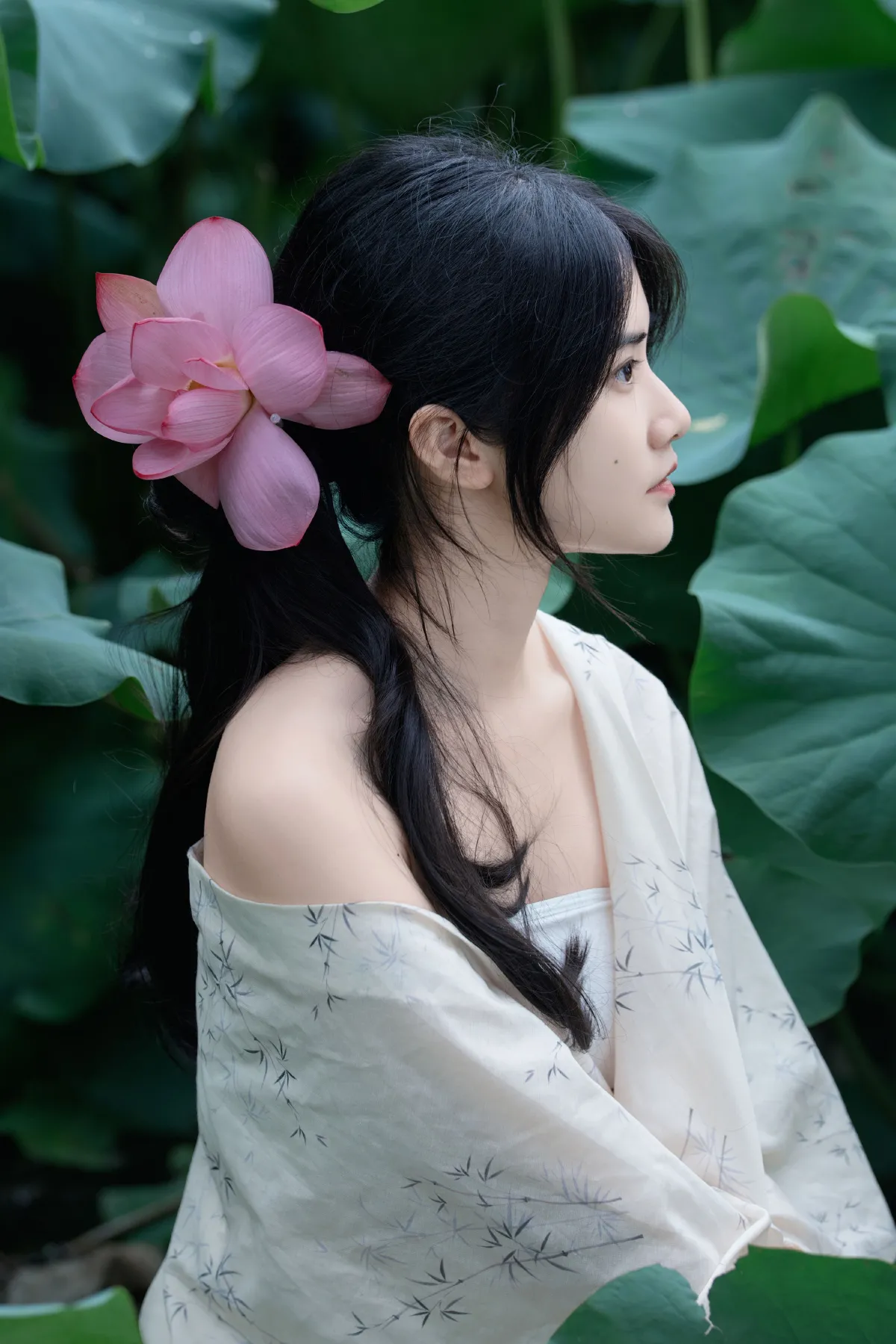 夏荷之殇
