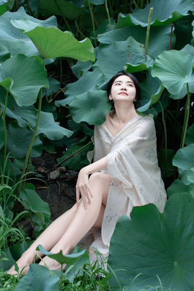 夏荷之殇