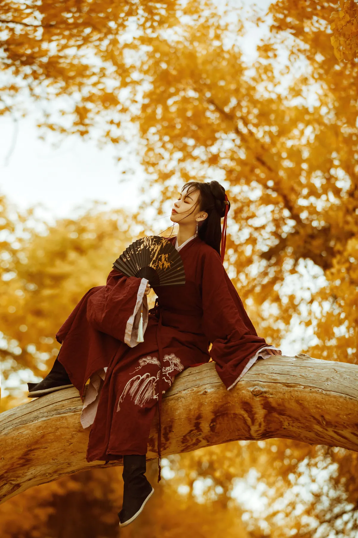 花木兰1