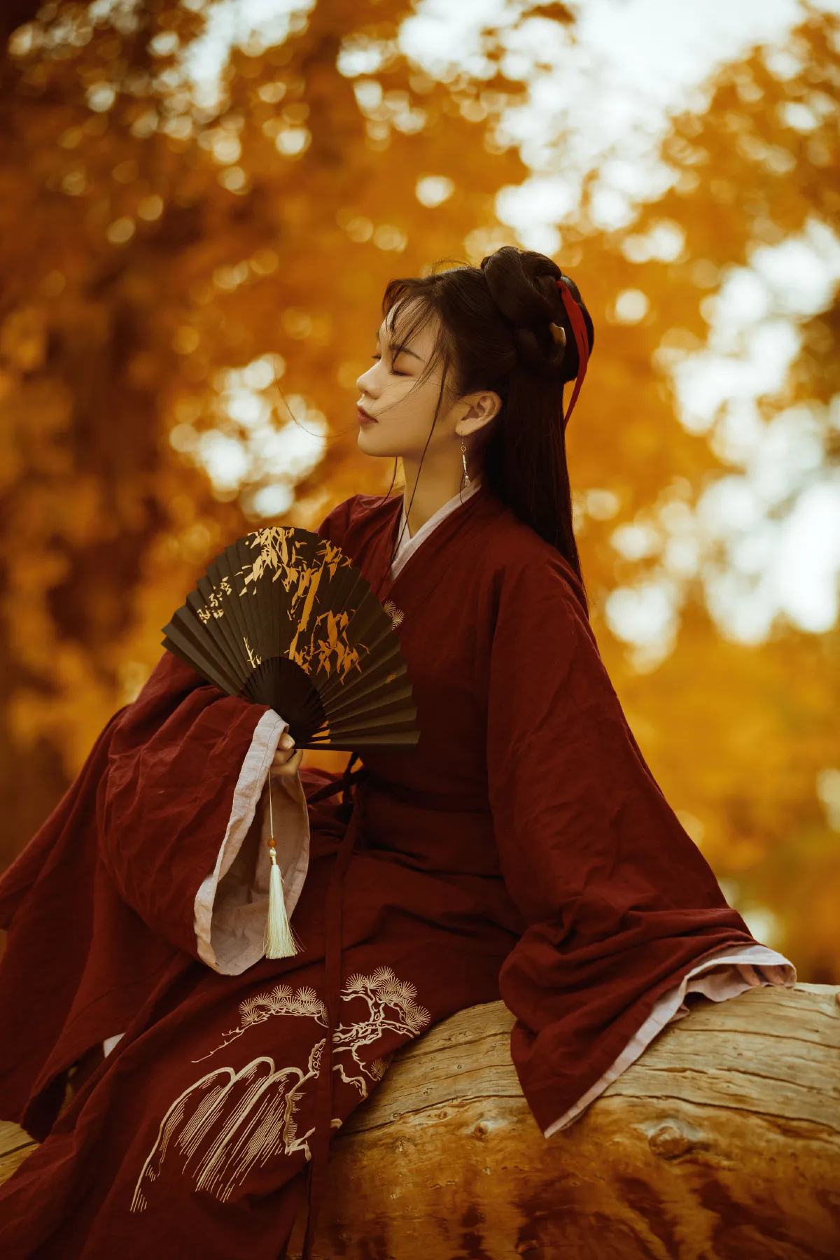 花木兰2