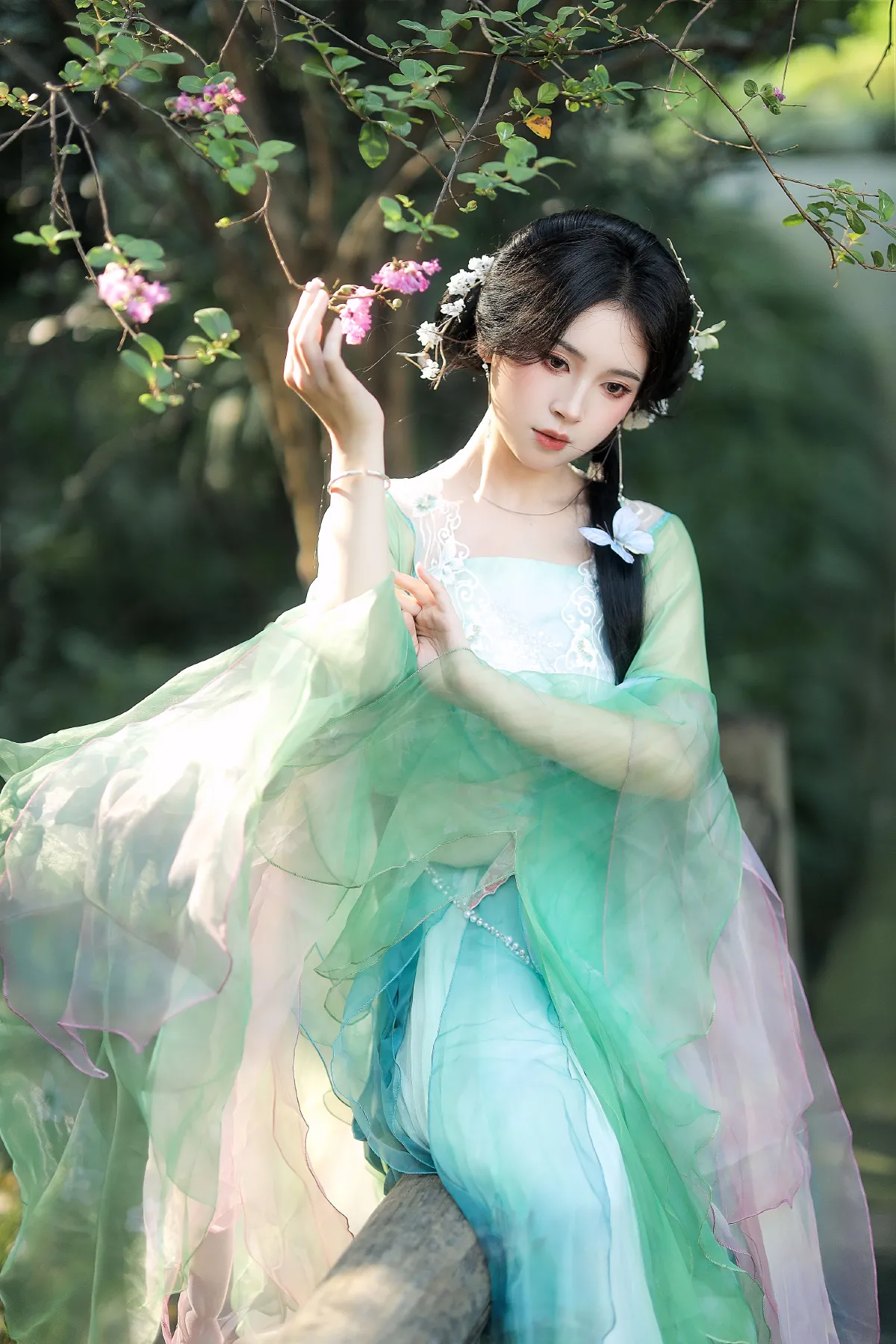 绿野仙踪