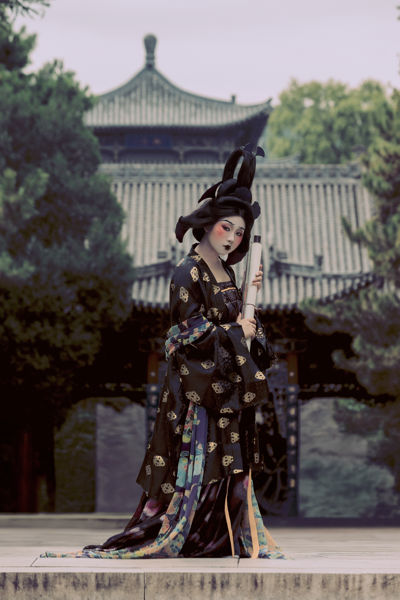 晚唐·太和险妆