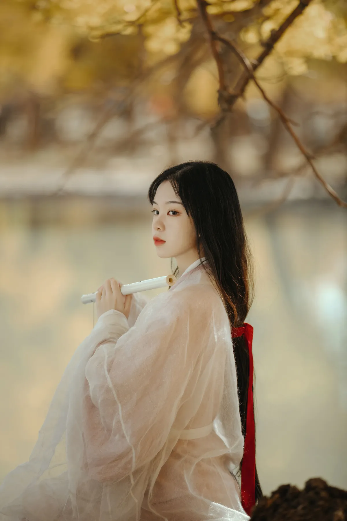 蒹葭3