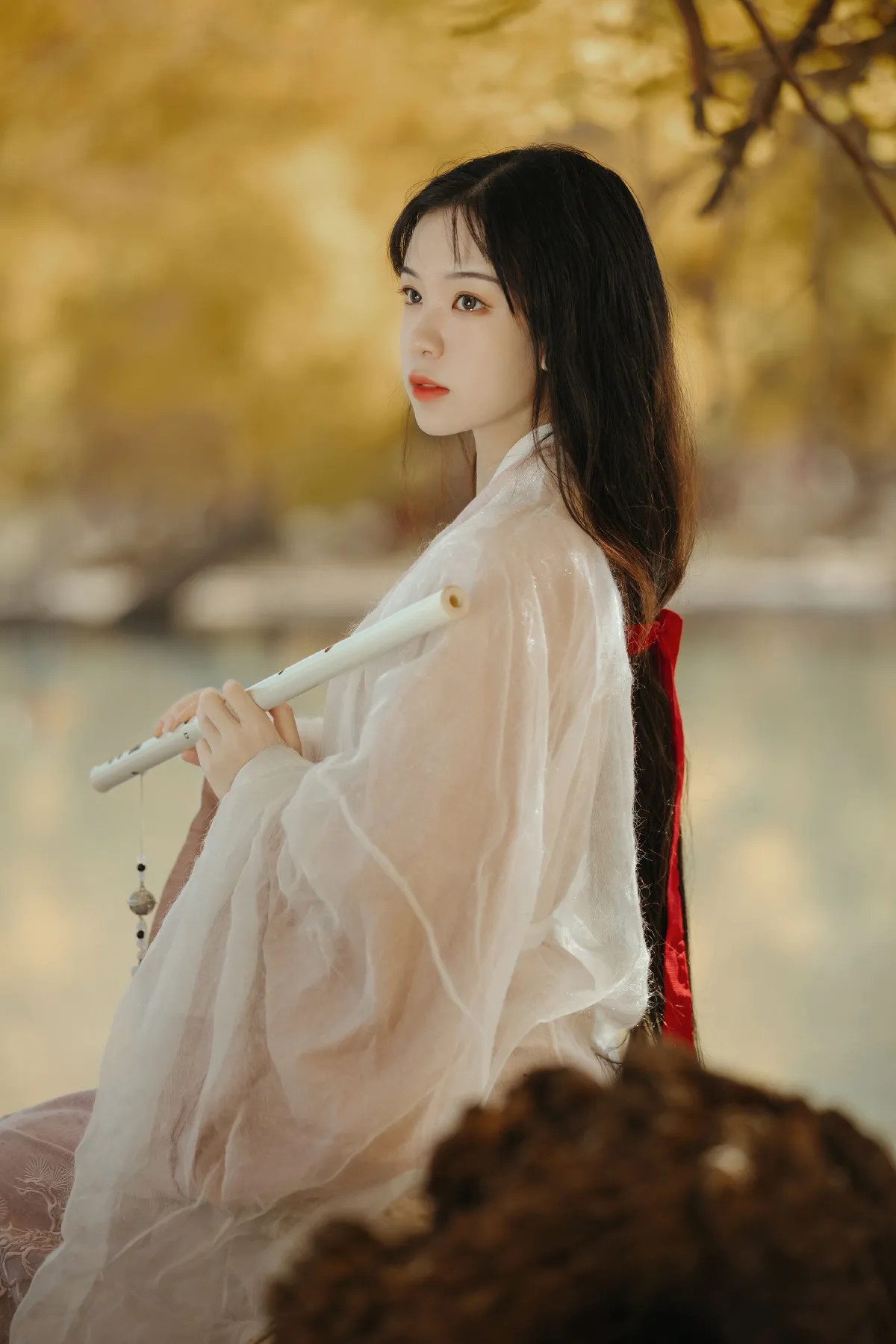 蒹葭