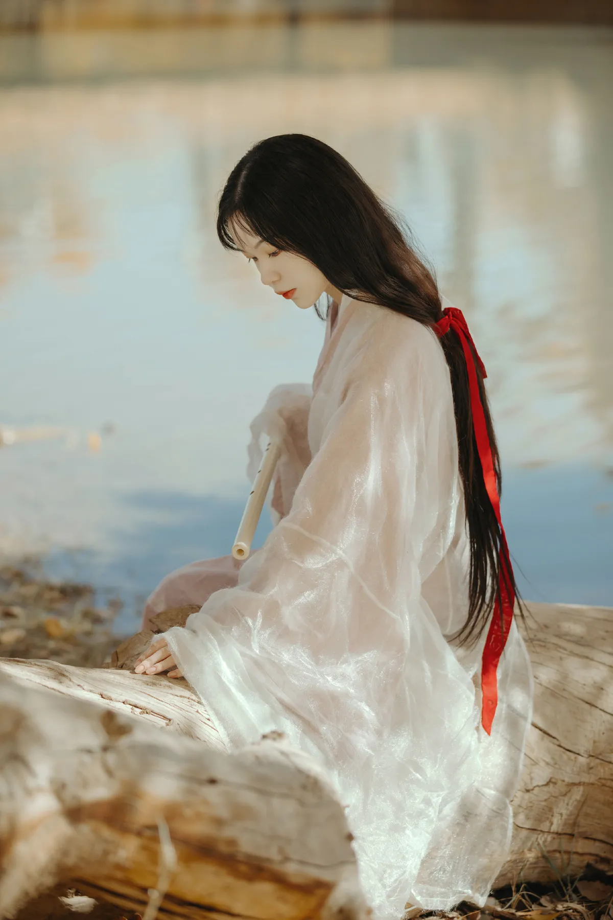 蒹葭