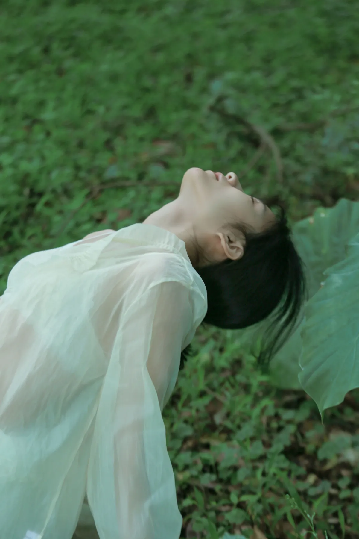 夏