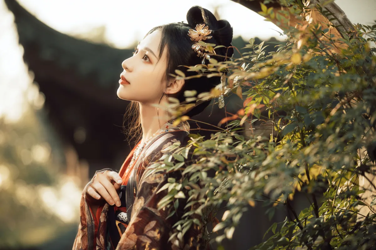 秋风辞2