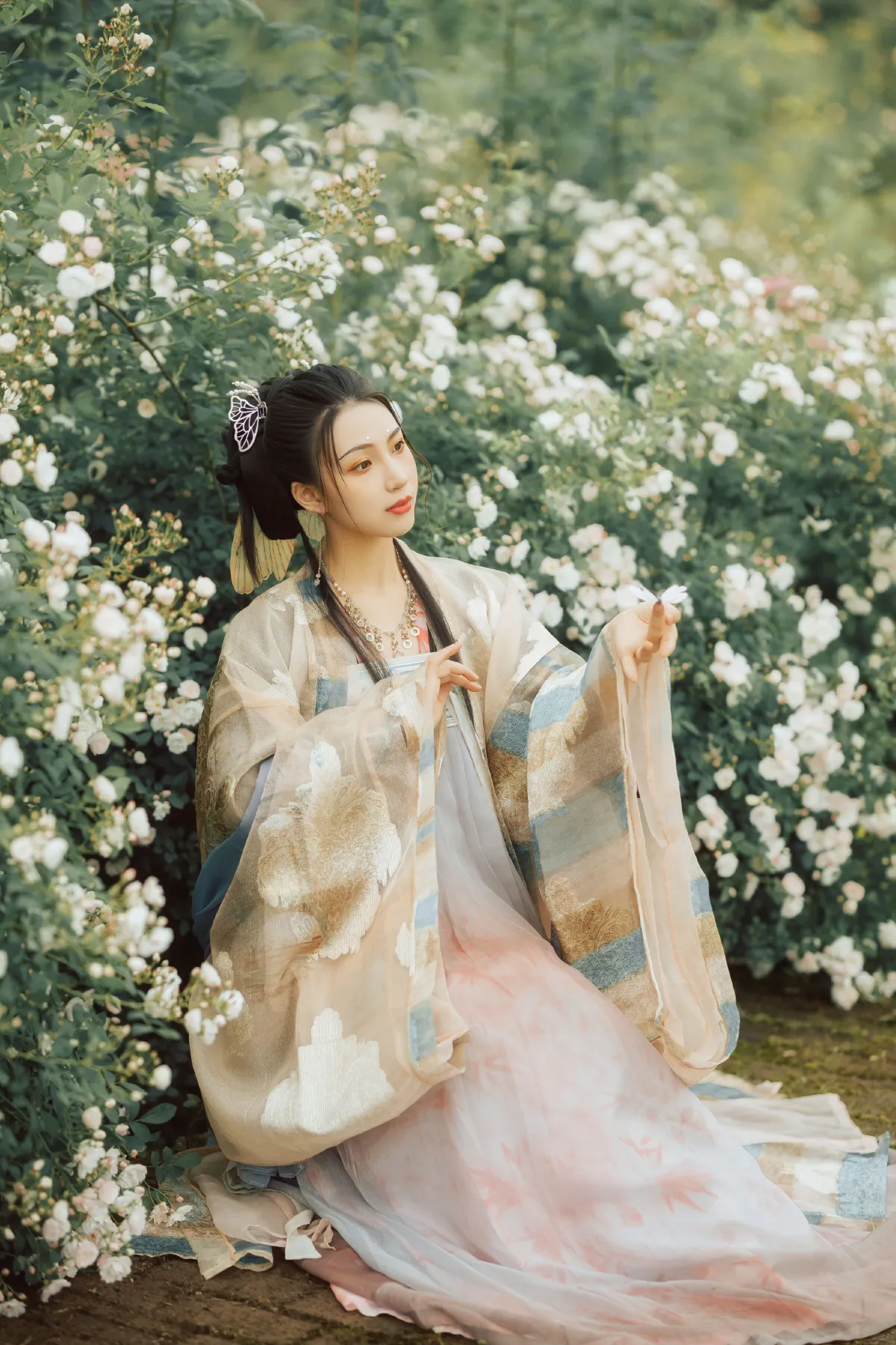 侍神令·八彩1