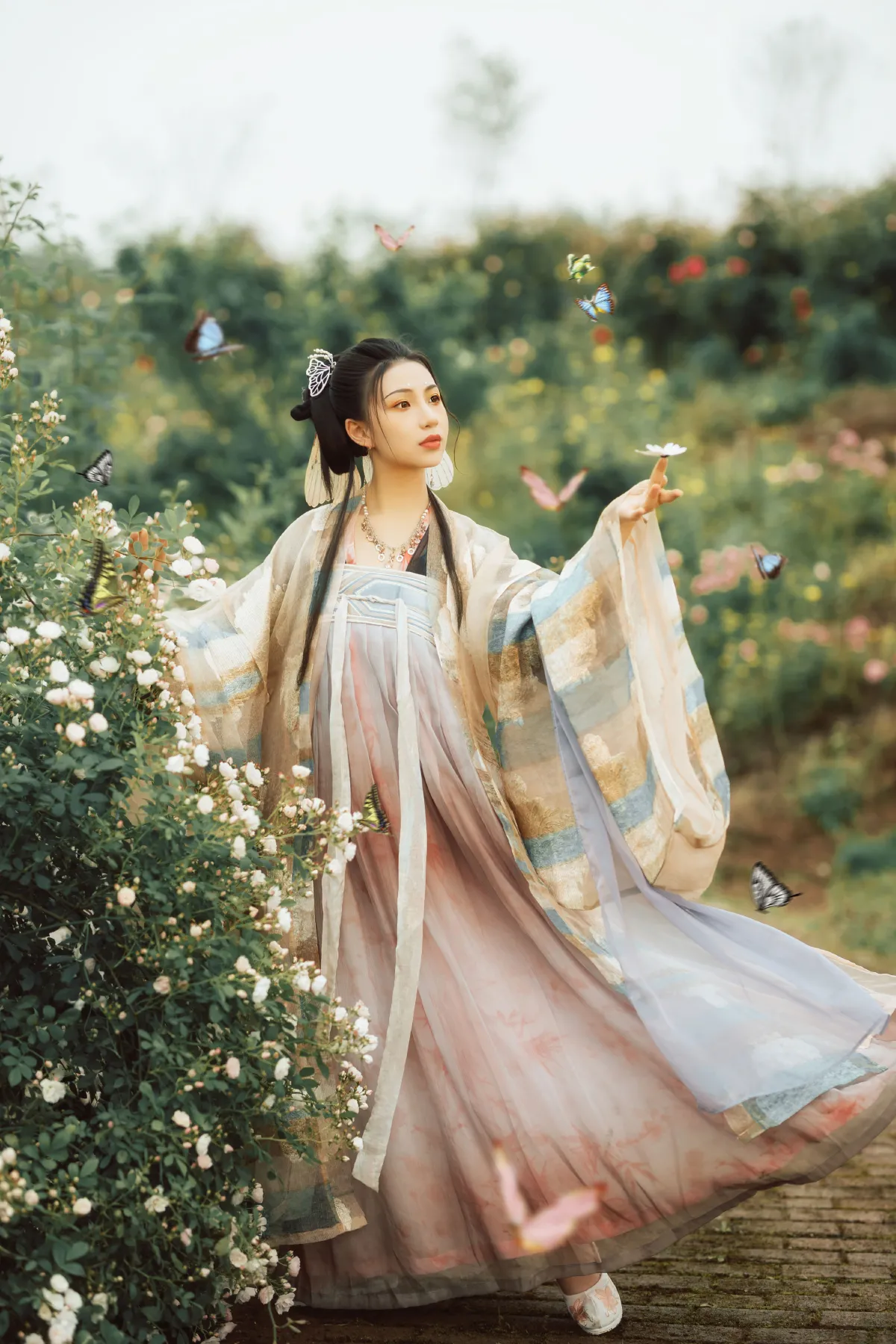 侍神令·八彩