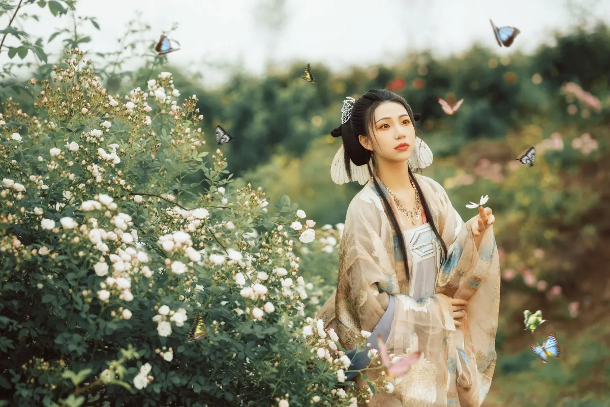 侍神令·八彩