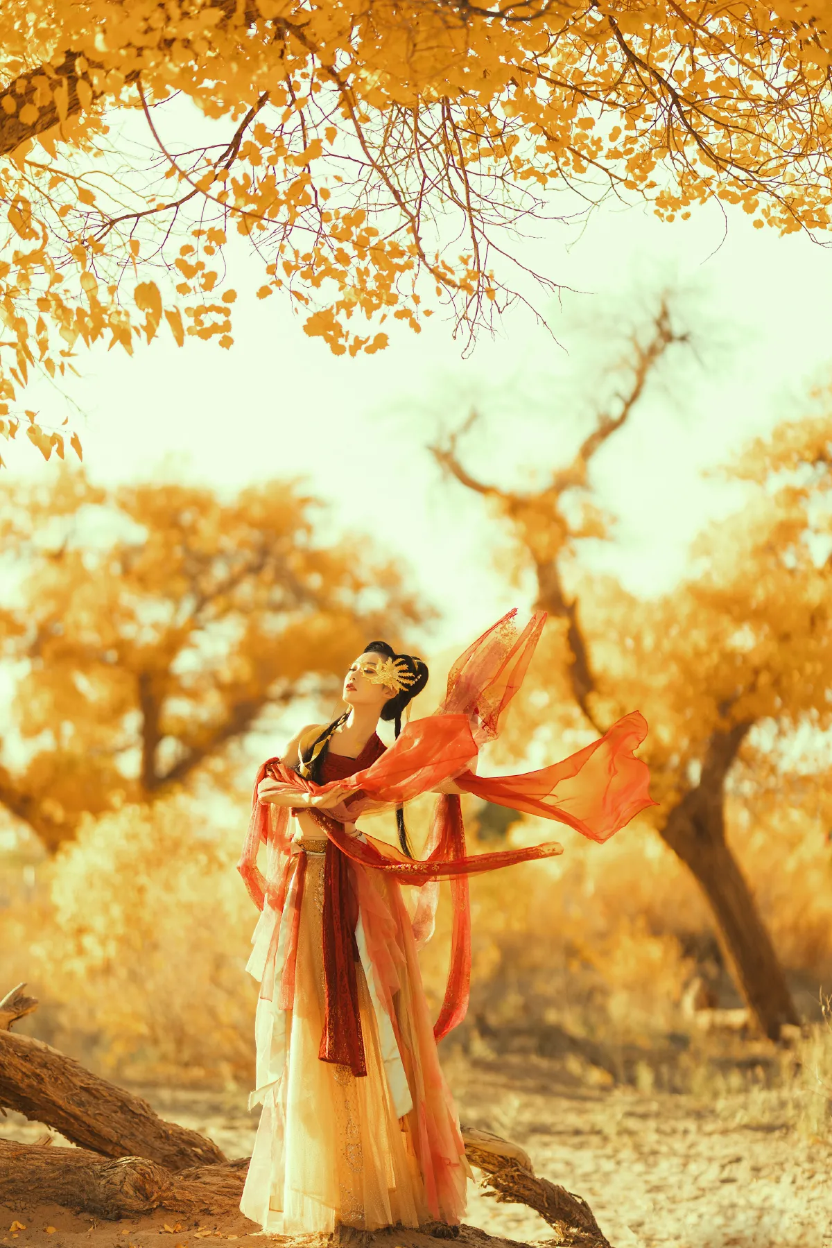 胡杨之女