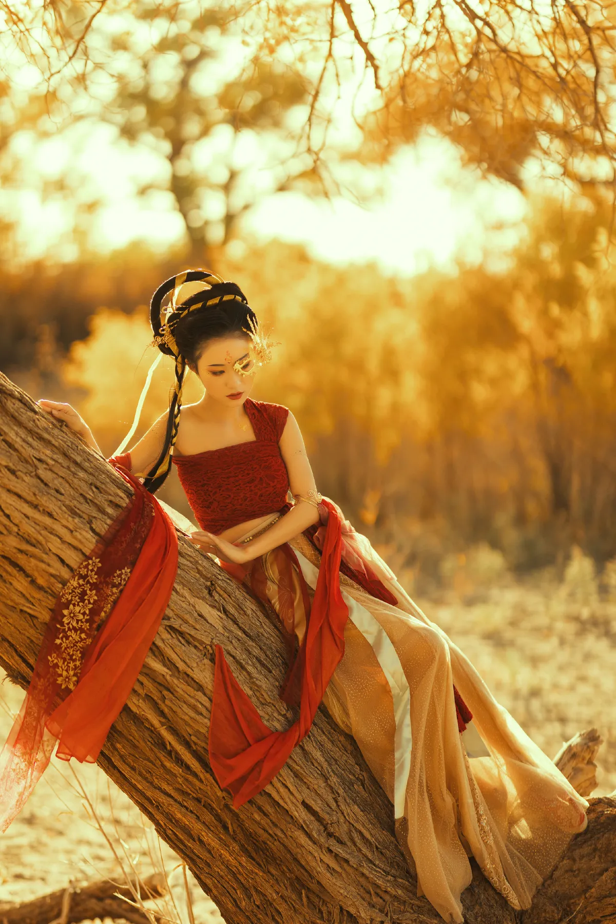 胡杨之女
