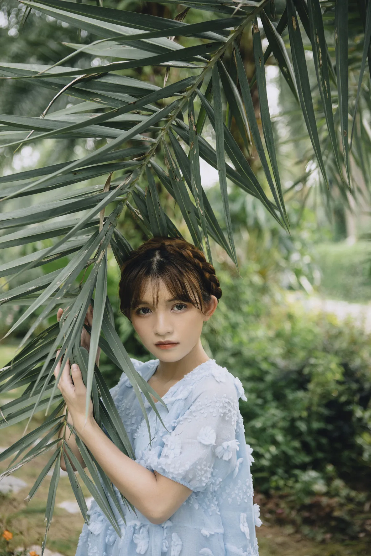 花都开好了