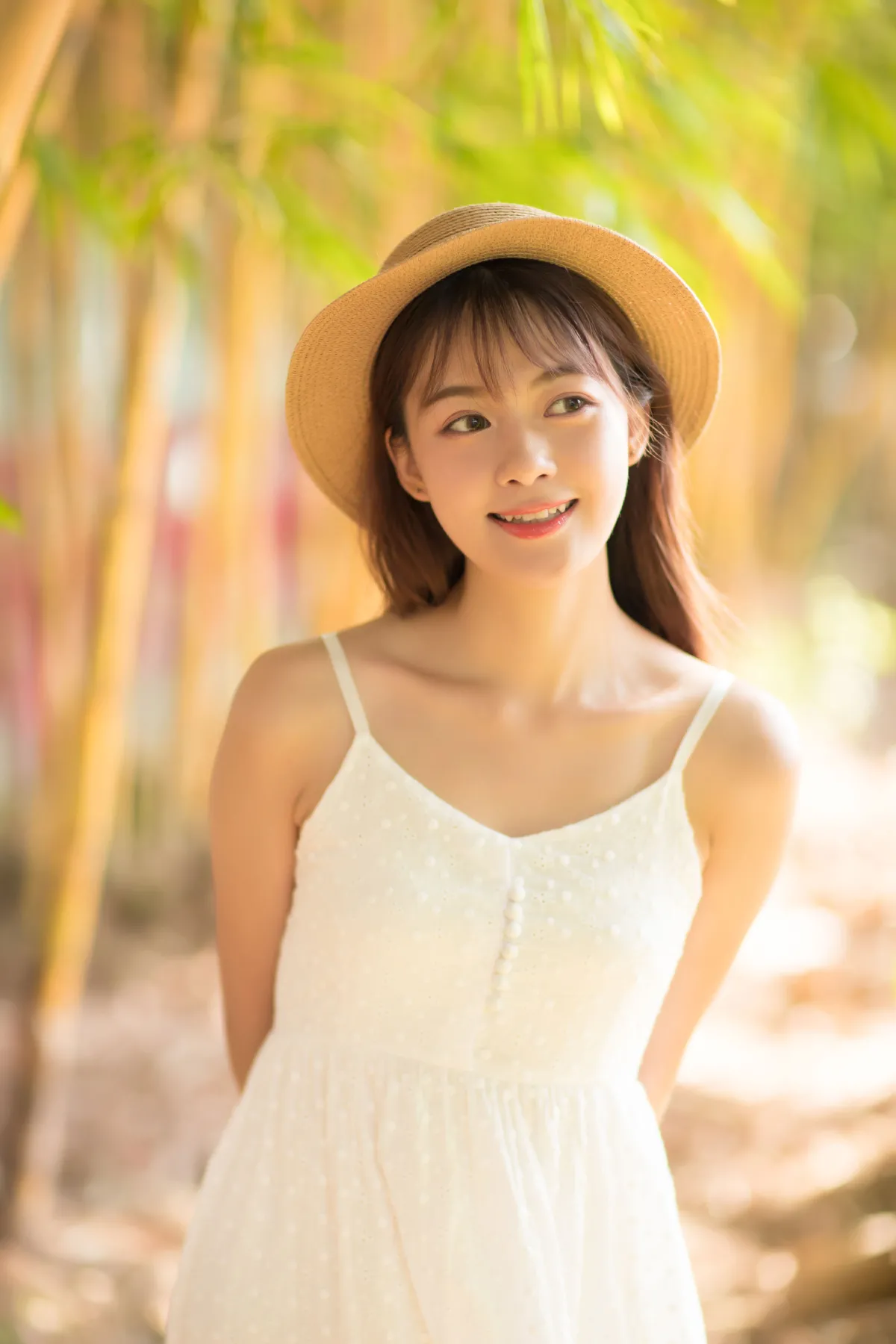 光照进的地方