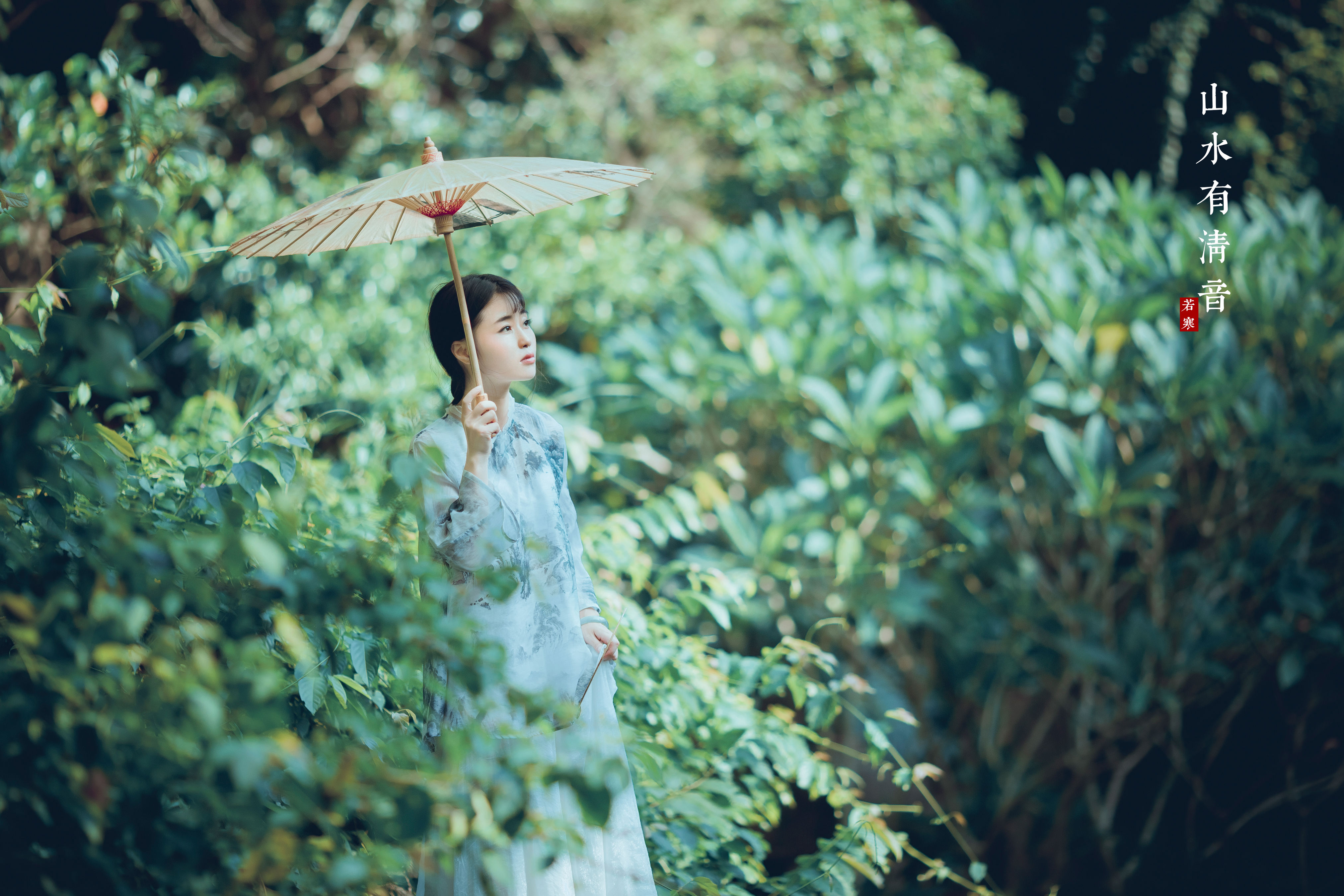 山水有清音	