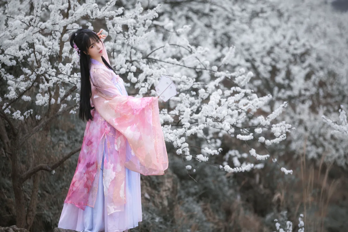 杏花弦外雨3