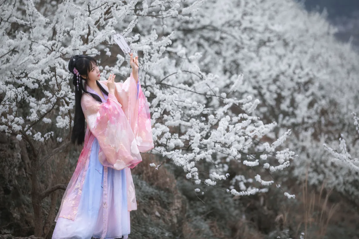 杏花弦外雨