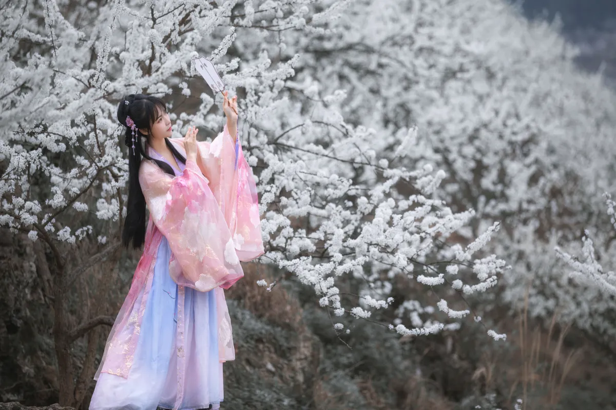 青卿_赵瑞洁EZ_《杏花弦外雨》美图作品图片4