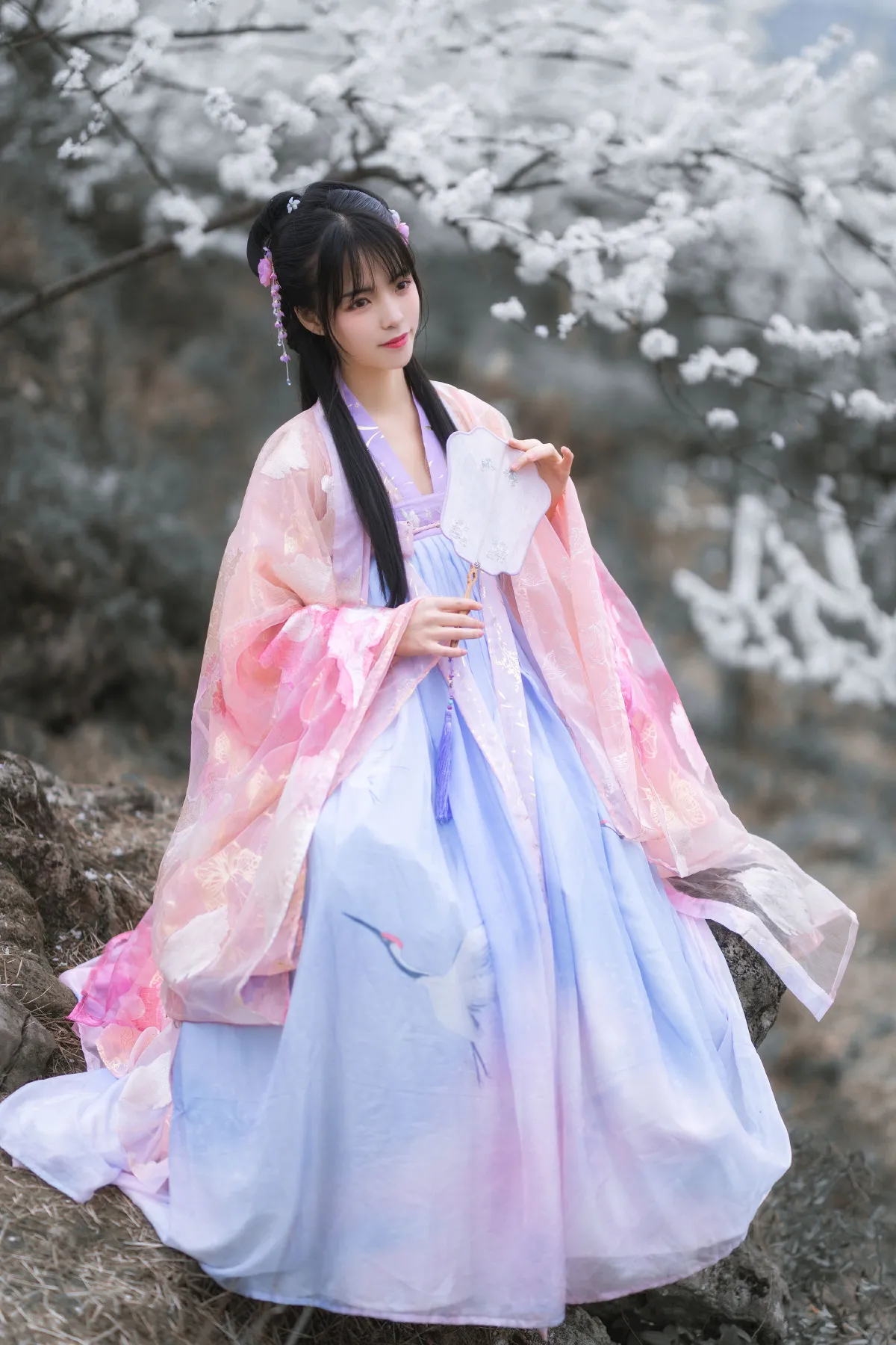 青卿_赵瑞洁EZ_《杏花弦外雨》美图作品图片5