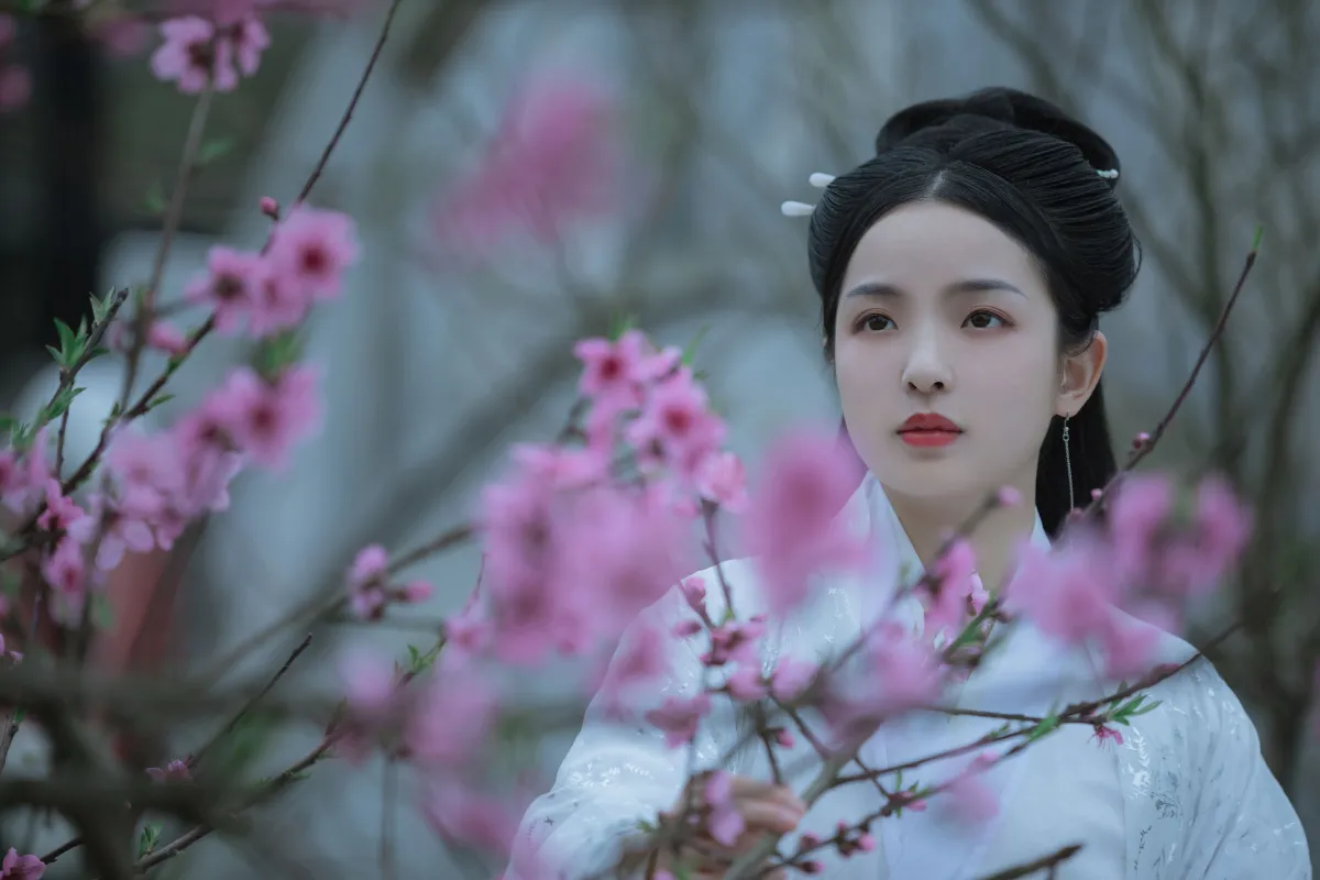 青卿_呼呼_小哈《山有木兮》美图作品图片5