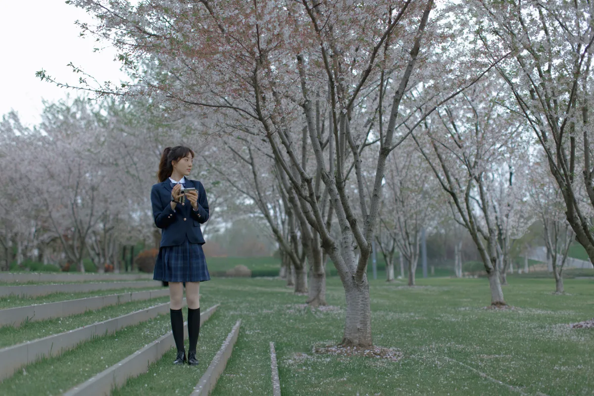 樱花渐落