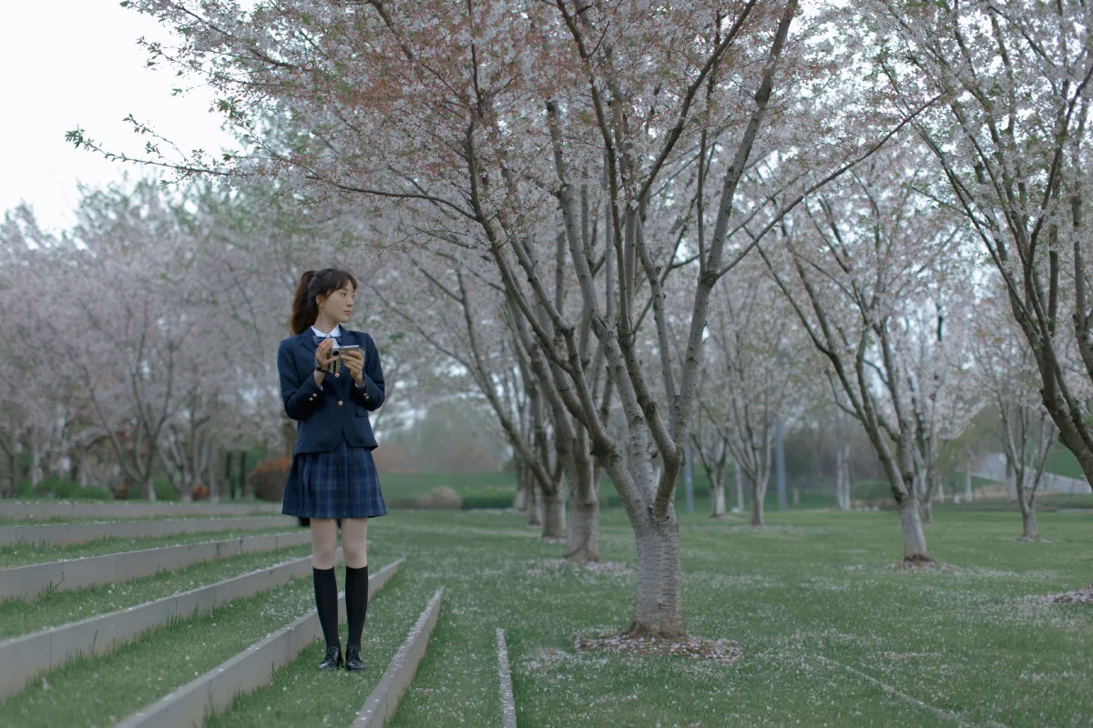 樱花渐落3
