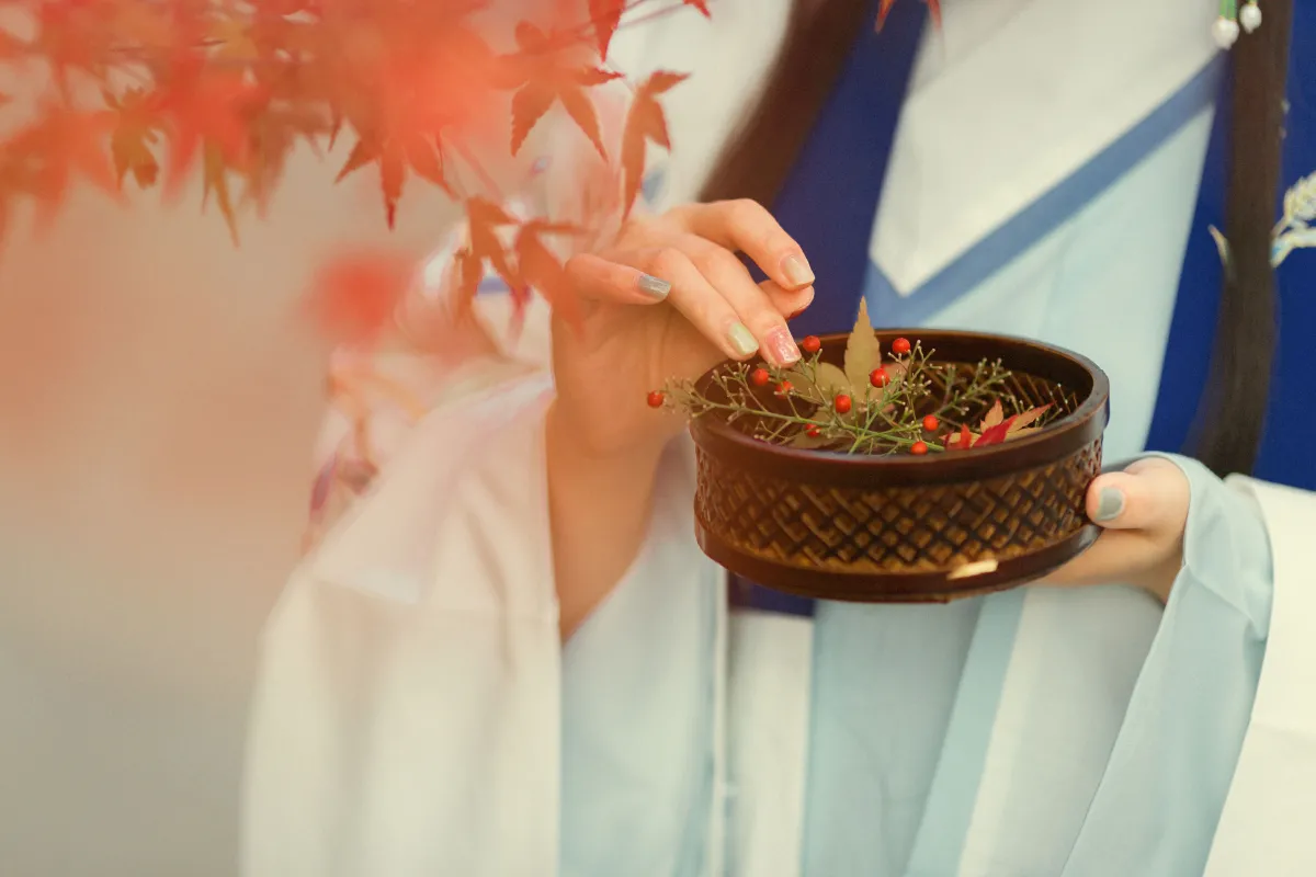 丹枫入秋2