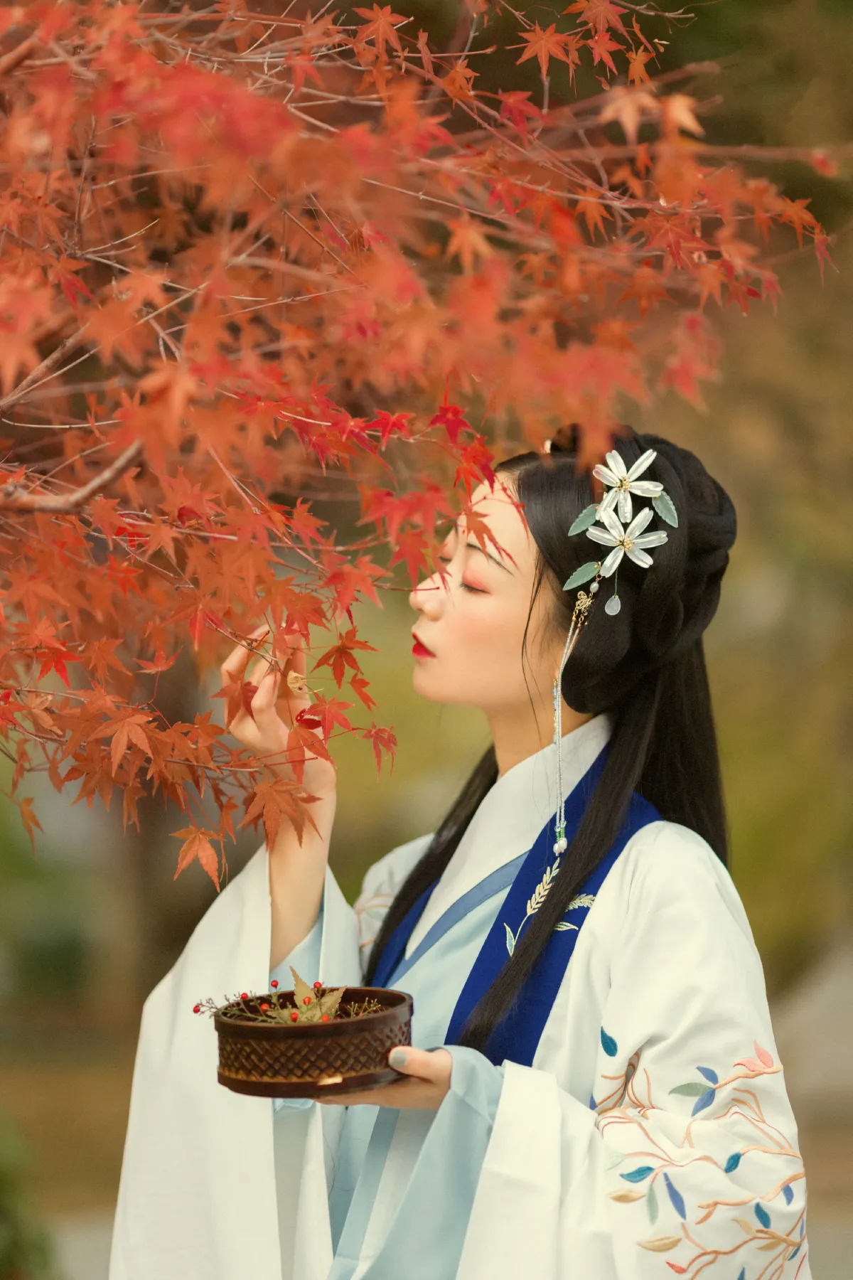 丹枫入秋