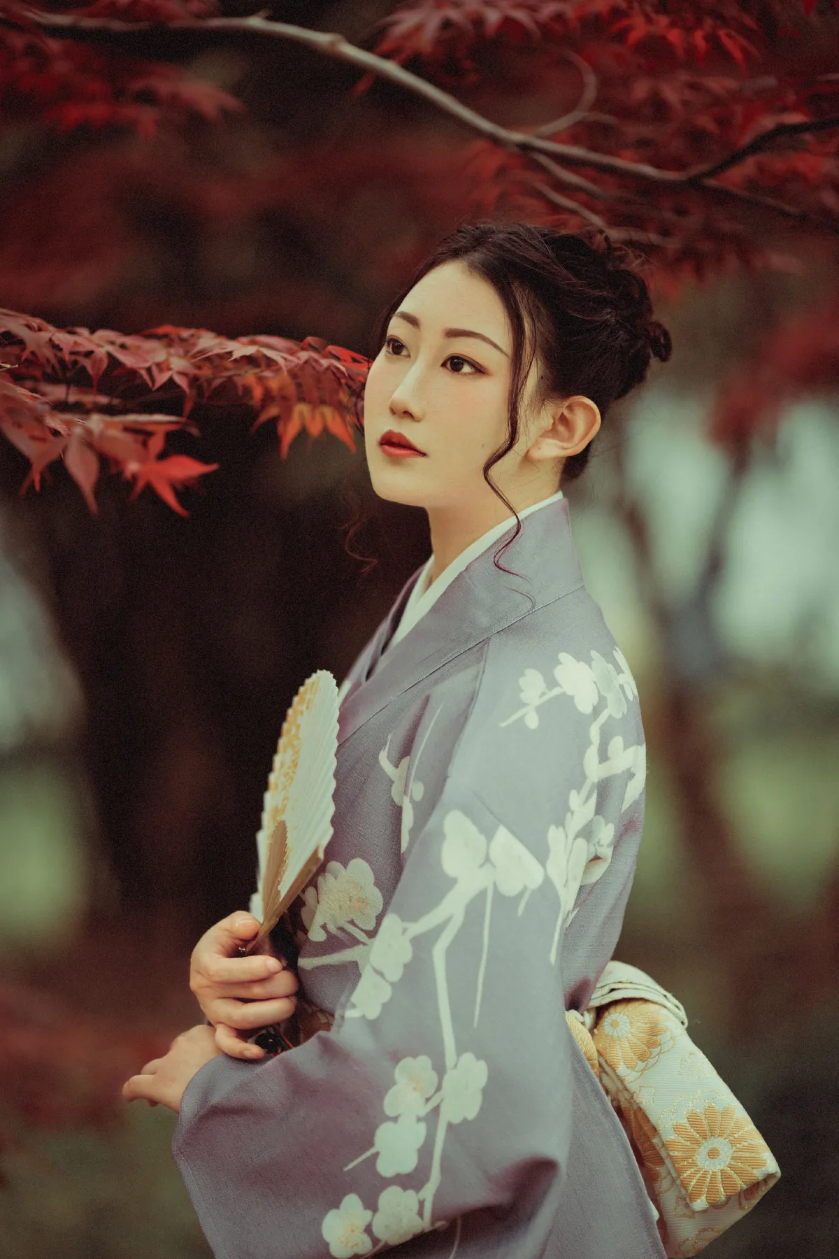 红叶深处2