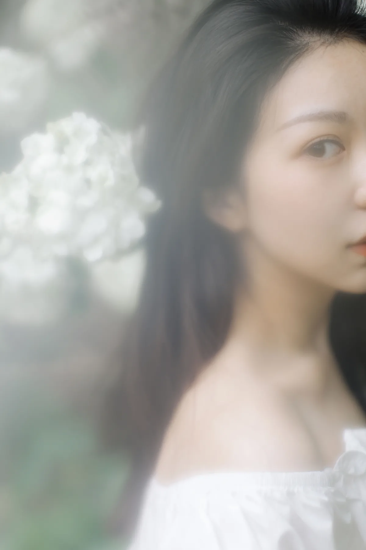 绣球花开2