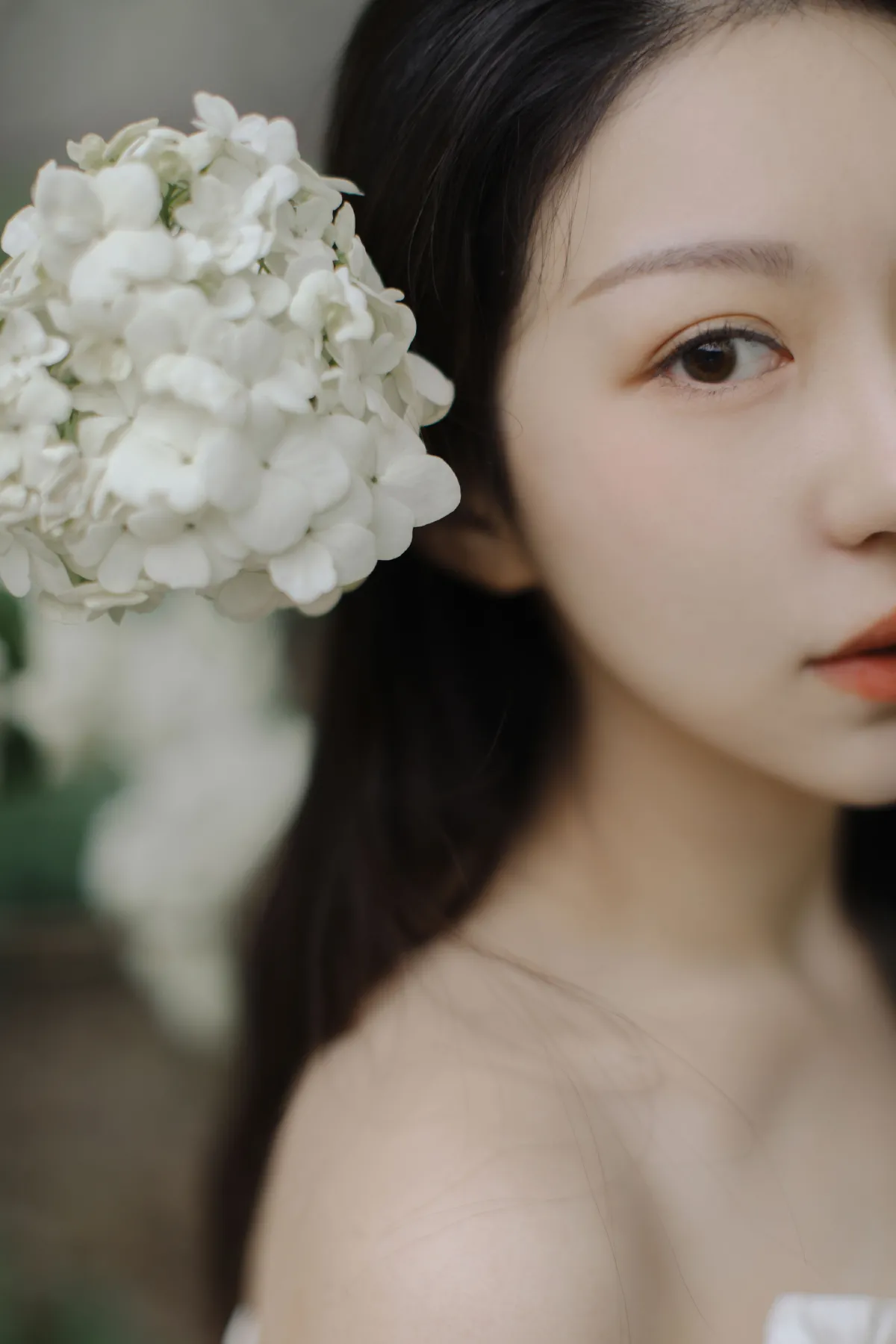 绣球花开