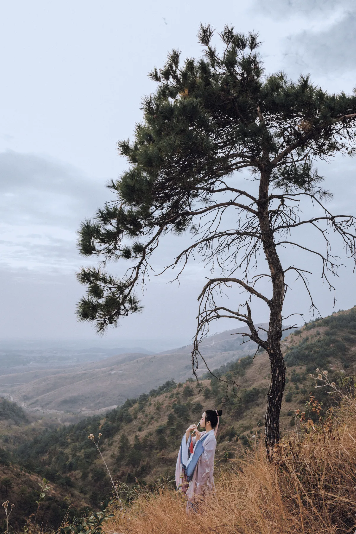 苍山无我